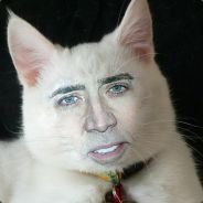 Patoche